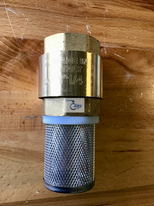 BSP Brass Spring Check Valve with Stainless Filter