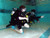 Certified Divers - Drop-in Pool (2025-09-14)