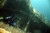 HMCS Saguenay Charter 20250802