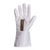 Ground Hog™ Spray Painters Gloves with Conductive Silver Stripe (Pack of 12) (14012GH)—Superior Glove™