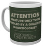 Fantastic Beasts 2 Attention Mug (GB)