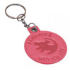 The Lion King Remeber Keyring