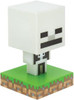 Minecraft Skeleton Icon Light