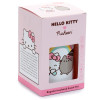 Hello Kitty & Pusheen Cat Hot Cold Snack Pot