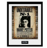 Harry Potter Undesirable No 1 Framed Print