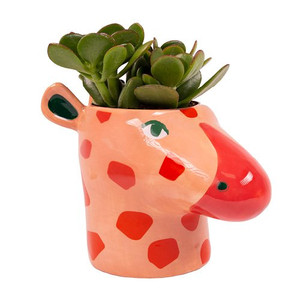 Giraffe Head Plant Pot
