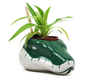 Slytherin Serpent Plant Pot