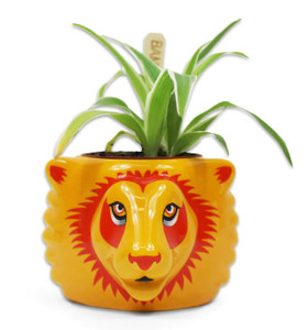 Gryffindor Lion Plant Pot