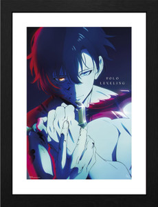 Solo Leveling Framed Print