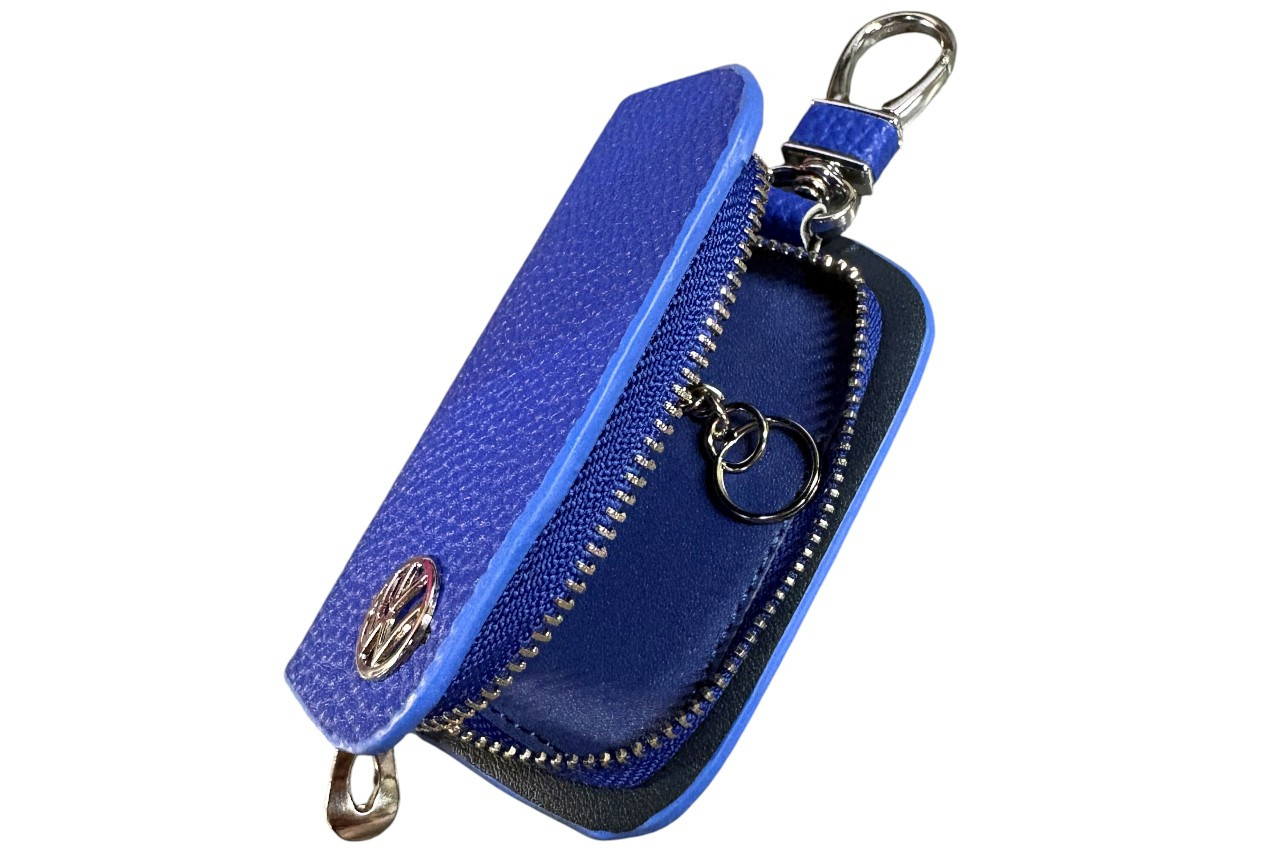 Blue Volkswagen Key Fob Case