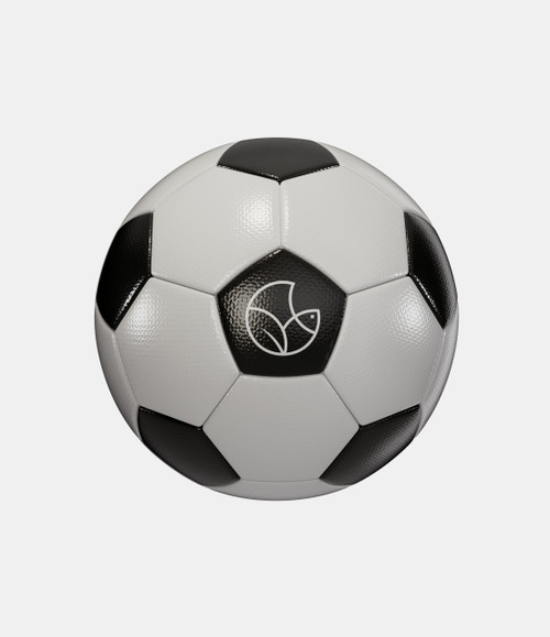 Football Match Ball