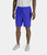 Men's Woven Lined Shorts