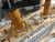 Ready To Run Remote Control RMS Britannic 50" Limited Ready To Run Remote Control RMS Britannic 50" Limited