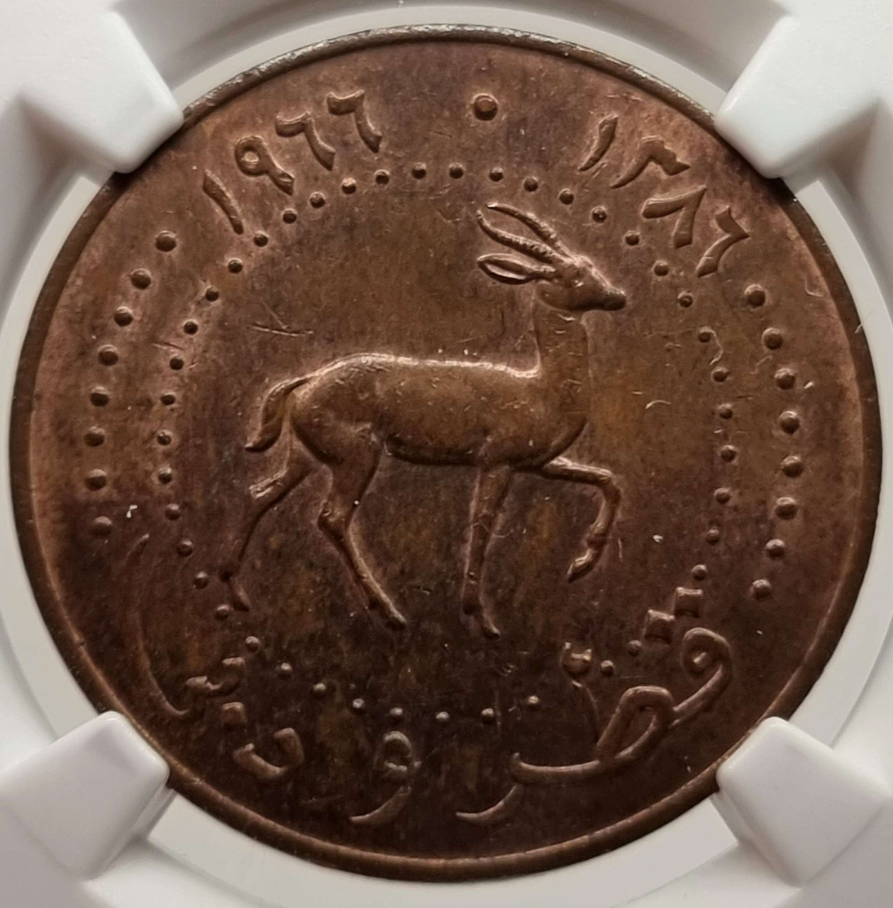 3009. 貴重 1966年 カタール ドバイ 10ディルハム 硬貨 3009