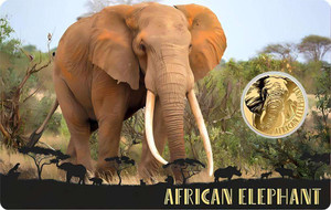 AFRICAN ELEPHANT 1/1000 Oz Gold Coin 3000 Francs Chad 2024 AFRICAN ELEPHANT 1/1000 Oz Gold Coin 3000 Francs Chad 2024