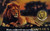 AFRICAN LION 1/1000 Oz Gold Coin in card