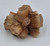 Aragonite Gem Mineral Uncut crystal stone