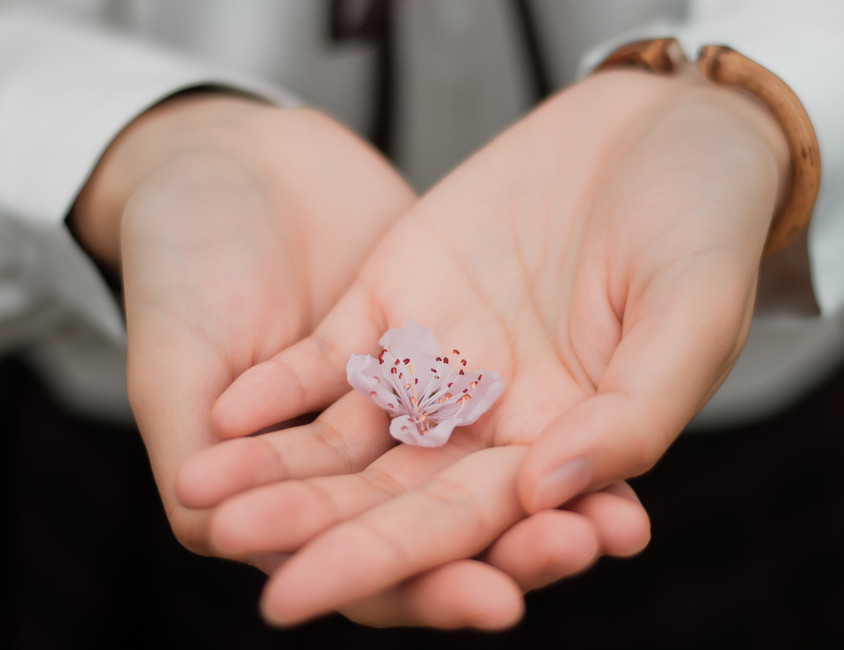 The Importance of Clean Hands -- AVNS's Response to the Coronavirus