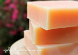 Coconut Milk and Citrus Shampoo and Body Bar by Apple Valley Natural Soap