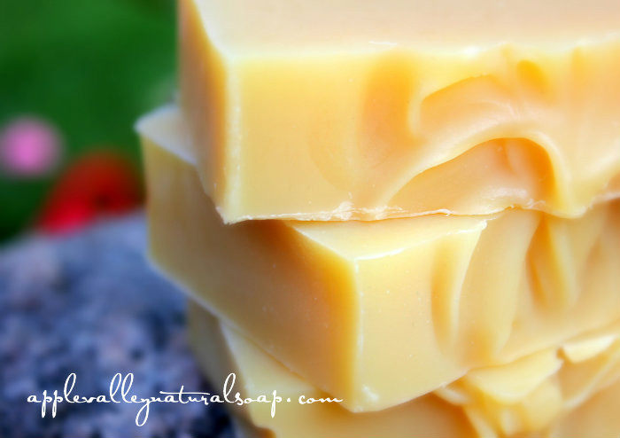 Shampoo Bar Samples, PlasticFree Shampoo Sample Apple Valley Natural