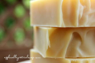Jojoba Silk Conditioning Shampoo Bar by Apple Valley Natural Soap