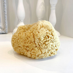 Natural Sea Sponge