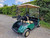 EZGO TXT Petrol (PIL3907)