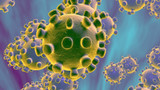 What is Coronavirus (COVID-19)?