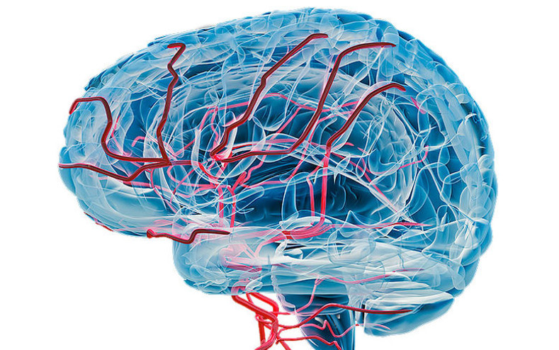 Prevention and Cure of Alzheimer’s Disease, Post-Stroke Recovery And Dementia Management