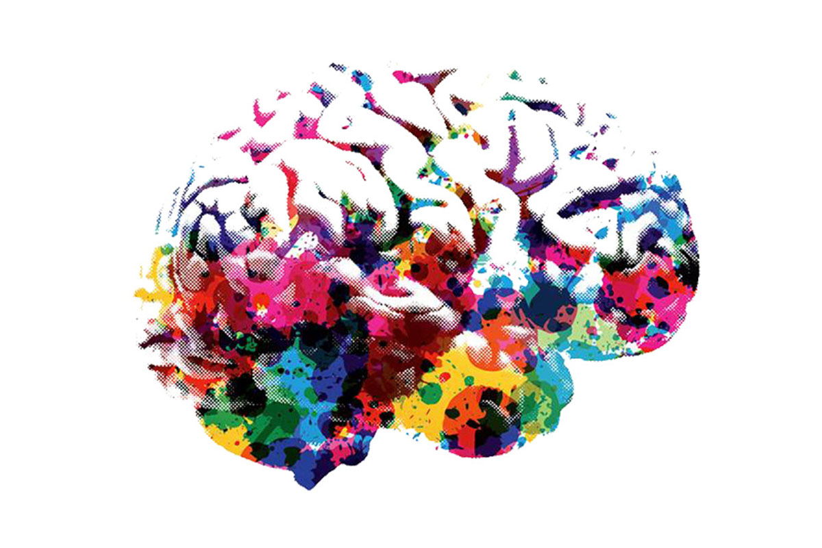 Colored brains. Хакнуть мозг. Brain marketing. Colorful Brain. @Colorful_Brain Instagram.