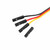 M5Stack A096 20 cm HY2.0-4P Grove-to-Dupont conversion cables with male and female 2.54 mm connectors