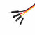 M5Stack A096 20 cm HY2.0-4P Grove-to-Dupont conversion cables with male and female 2.54 mm connectors