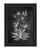 Vintage Chalkboard Flowers Black Framed Print Wall Art N270-407654