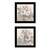 Set Of Two Transitional Blooms 3 Black Framed Print Wall Art
