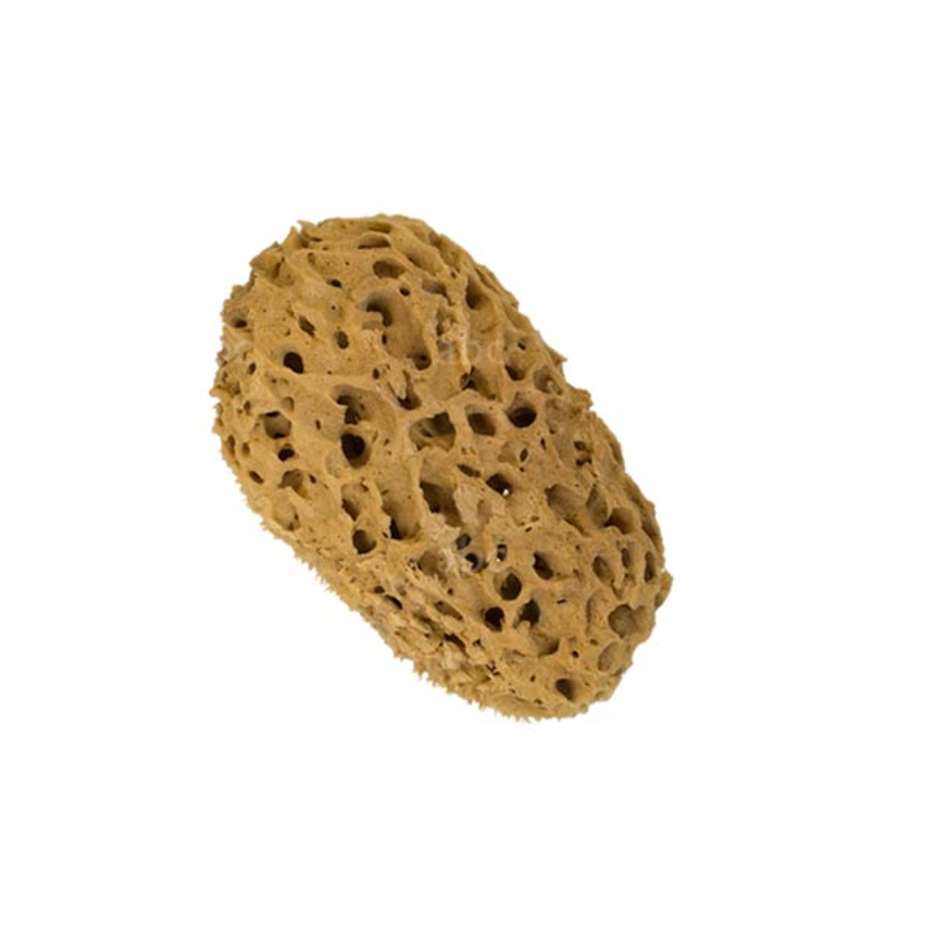 Small Natural Rock Island Sponge