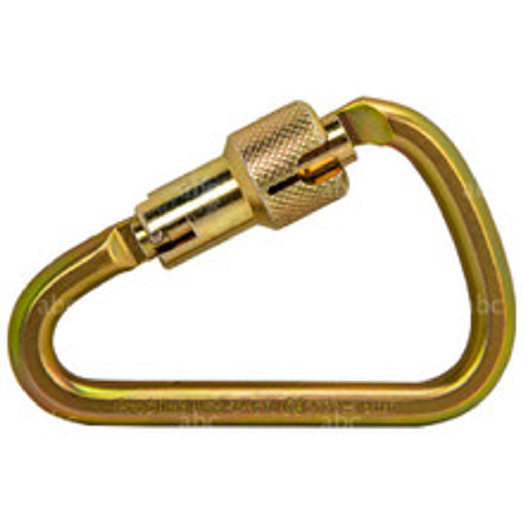 Super D TW  Auto Locking Carabiner - closed gate