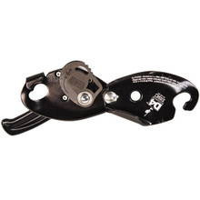 ISC D4 Descender