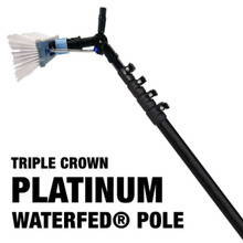 Platinum Poles