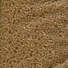 15/0 Spice Miyuki Seed Beads (15-2372) 8 Grams