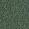 15/0 Matte Metallic Sage Green Luster Miyuki Seed Beads (7.2 Grams) 15-2031