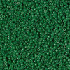 15/0 Dyed Opaque Dark Green Miyuki Seed Beads (7.2 Grams) 15-2538