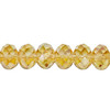 8x6mm Gold Champagne Faceted Roundel (65 Beads) #3