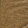 11/0 Spice Miyuki Seed Beads (20g) 11-2372