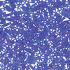 Matte Transparent Cobalt AB Quarter Tila (8g) QTL151FR