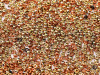 11/0 Black California Gold Rush Miyuki Seed Beads (20g)