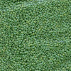 11/0 Matte Opaque Green AB Delica Beads DB877 (7.2 Grams)