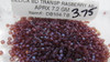 Transparent Raspberry AB 11/0 Delica Beads db104 (8 Grams)