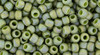 8/0 Toho Semi Glazed RBW honeydew Seed Beads (20 Grams) 08-2632F