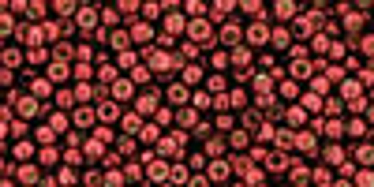 8/0 PermaFinish Galvanized Brick Red Toho Seed Beads (20 Grams) 08-PF564