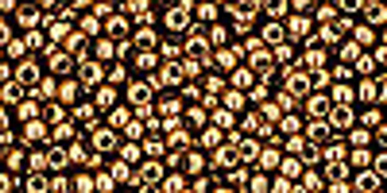 11/0  Bronze TOHO Seed Beads (22 Grams) 11-221